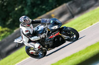 PJ-Motorsport-Photography-2020;anglesey;brands-hatch;cadwell-park;croft;donington-park;enduro-digital-images;event-digital-images;eventdigitalimages;mallory;no-limits;oulton-park;peter-wileman-photography;racing-digital-images;silverstone;snetterton;trackday-digital-images;trackday-photos;vmcc-banbury-run;welsh-2-day-enduro